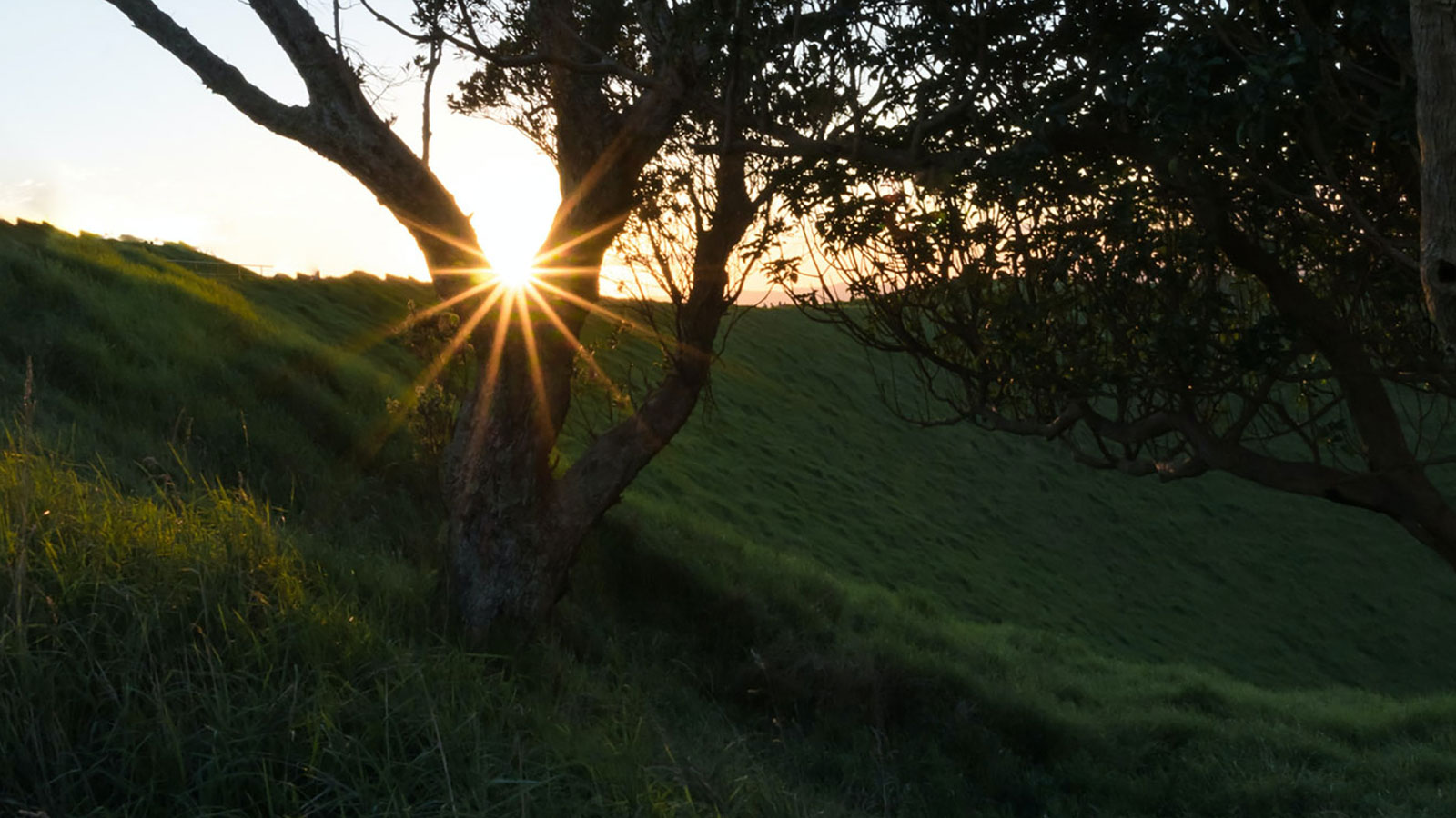 a beautiful sunrise over a grassy hill